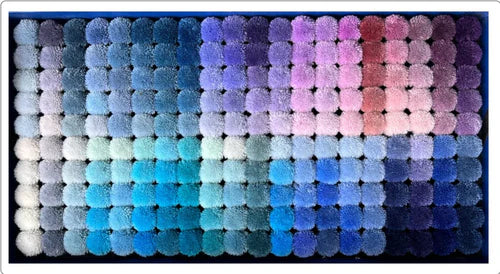 CA 200 BLUE